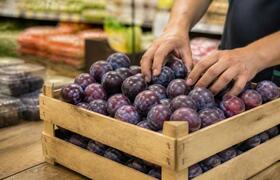 В Челябинской области продают зараженную сливу ...